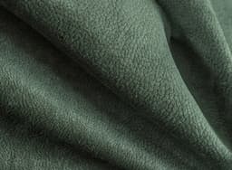 Phlox_13