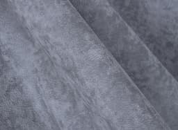 Phlox_21
