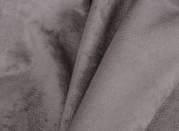 Phlox_4
