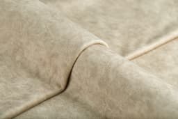 Camel_01