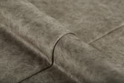 Camel_05