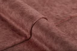Camel_06