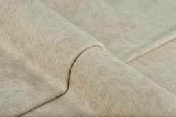 Camel_21