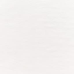 ENZO_000_web