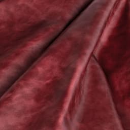 club_scarlet