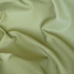 rio_pino