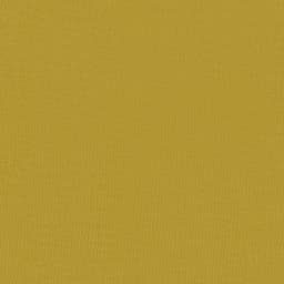 maxx_560