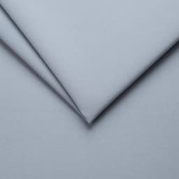 Royal_Velvet_18_Light_Grey