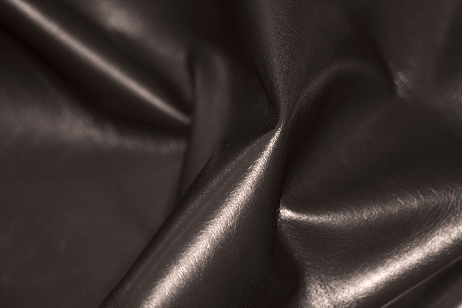 Lord_11(drapirovka)_N