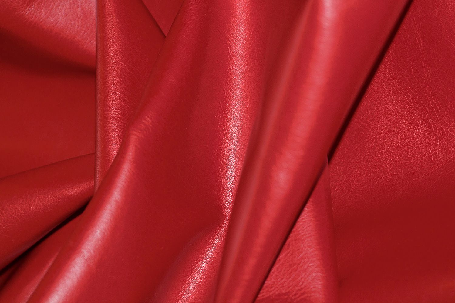 Lord_19(drapirovka)_N