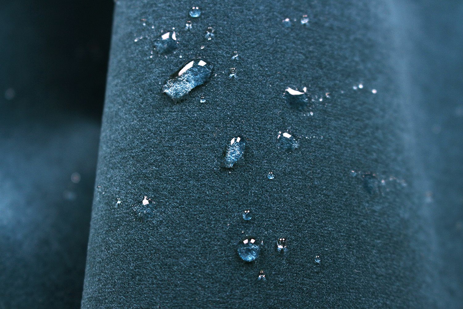 Avelina - Avelina_9192