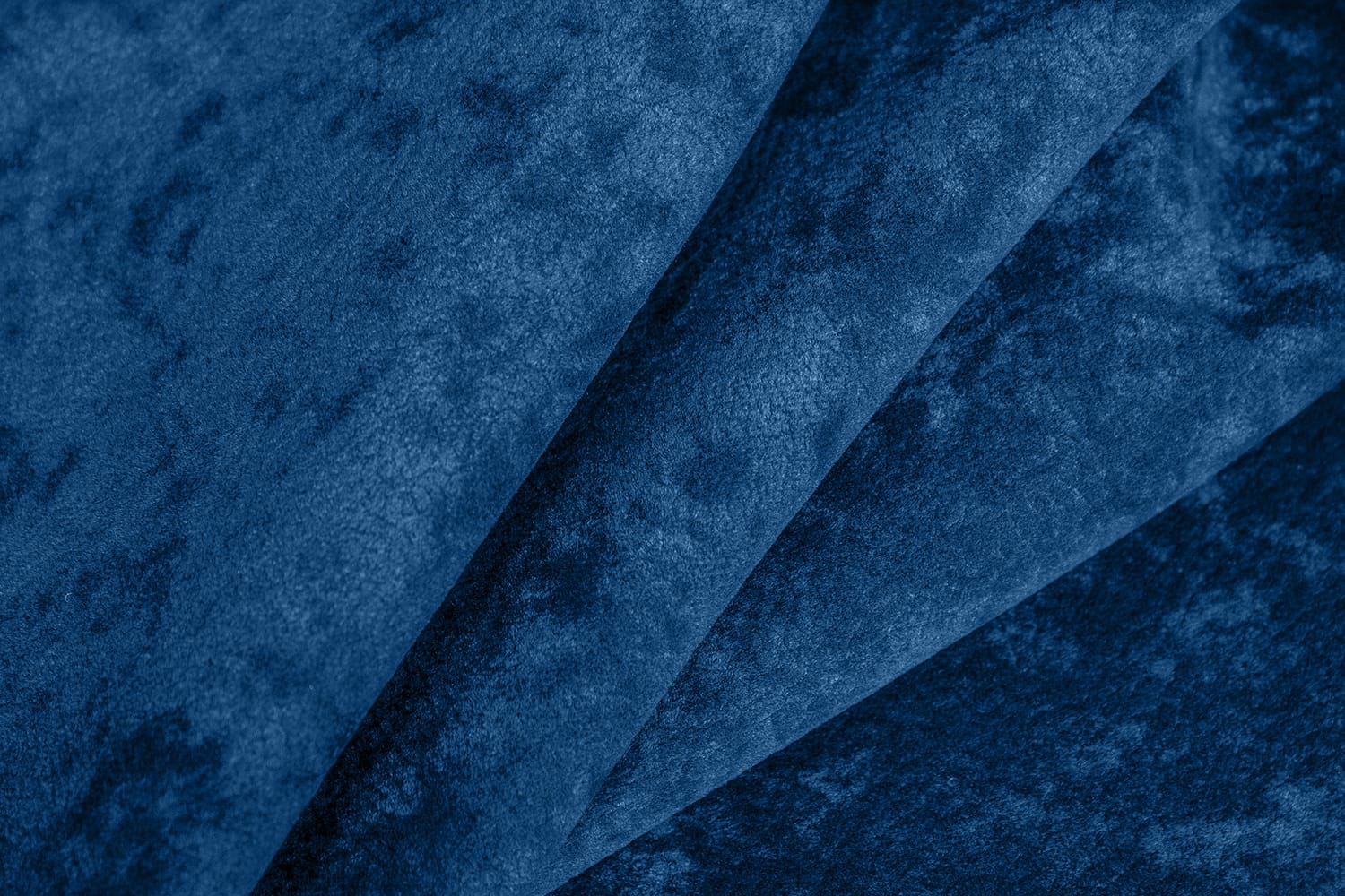 Phlox - 19_Phlox