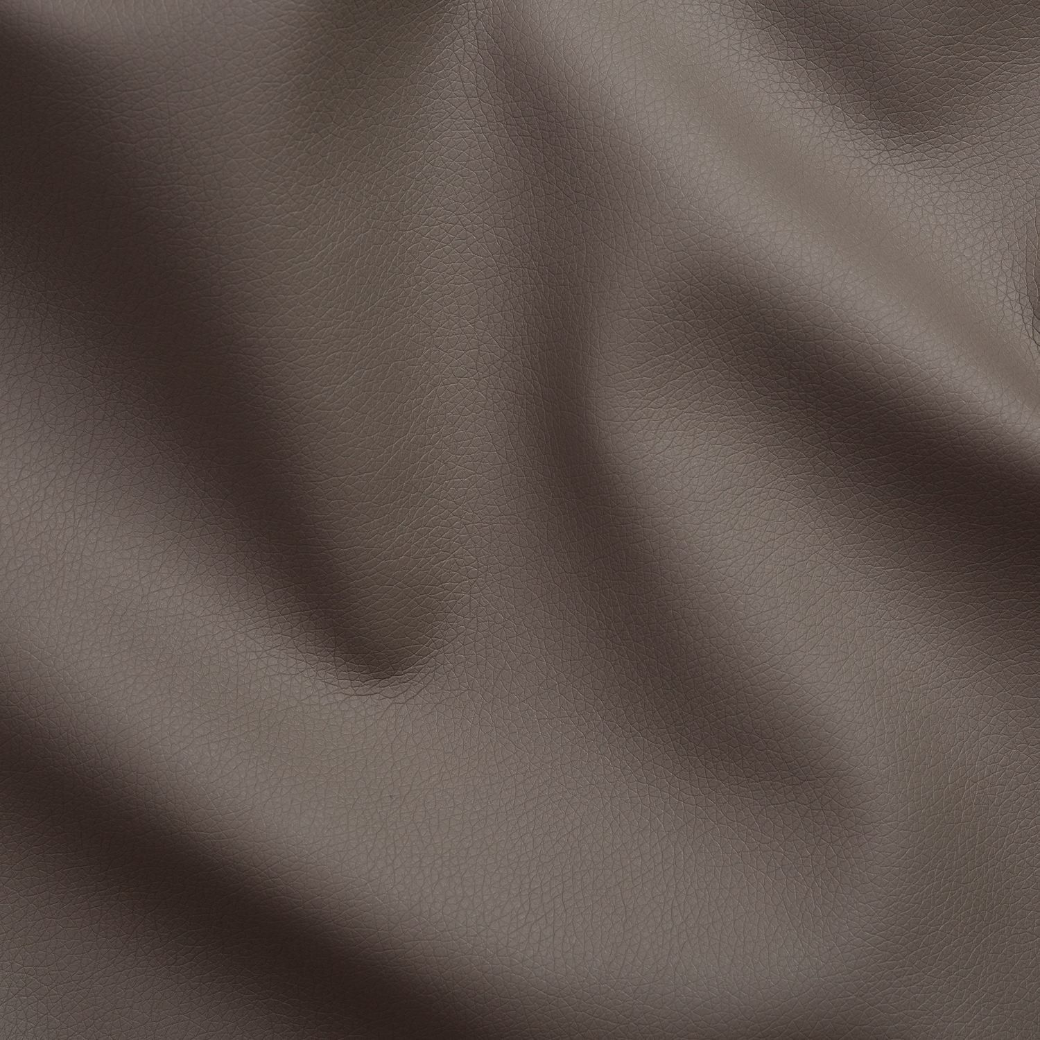 Кайен - cayenne_1122_elephant