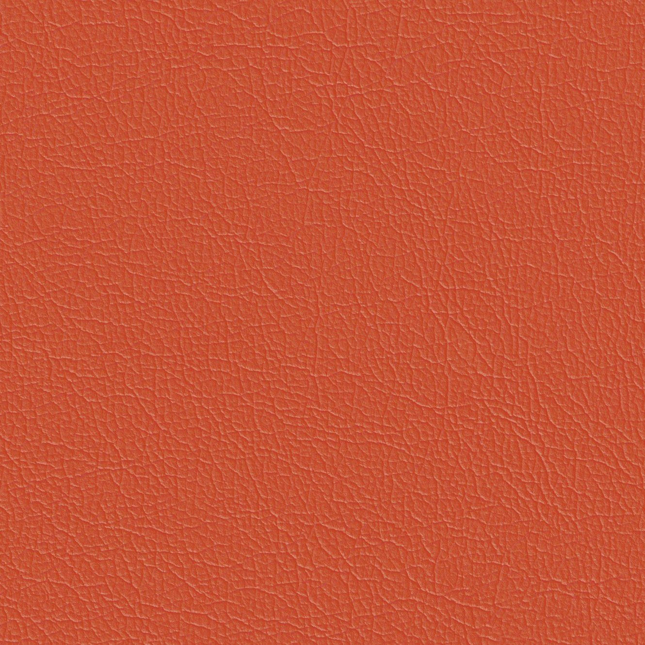 Мэджик - magic_09