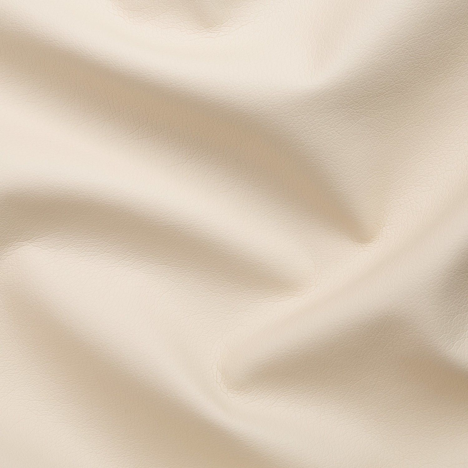 Оскар - oscar_1124_bisquit