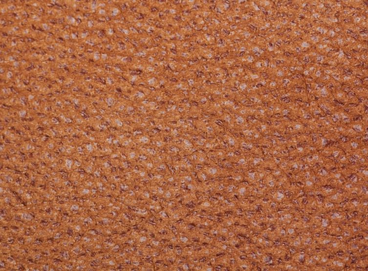 Leatherser - Leatherser_310