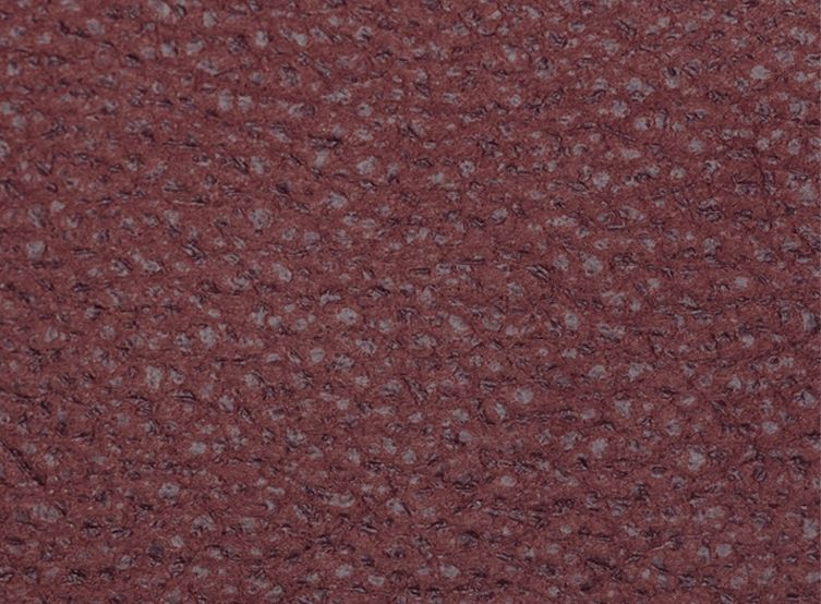 Leatherser - Leatherser_460