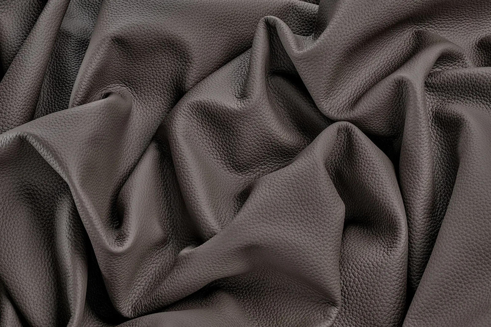 Лотус - 22731887