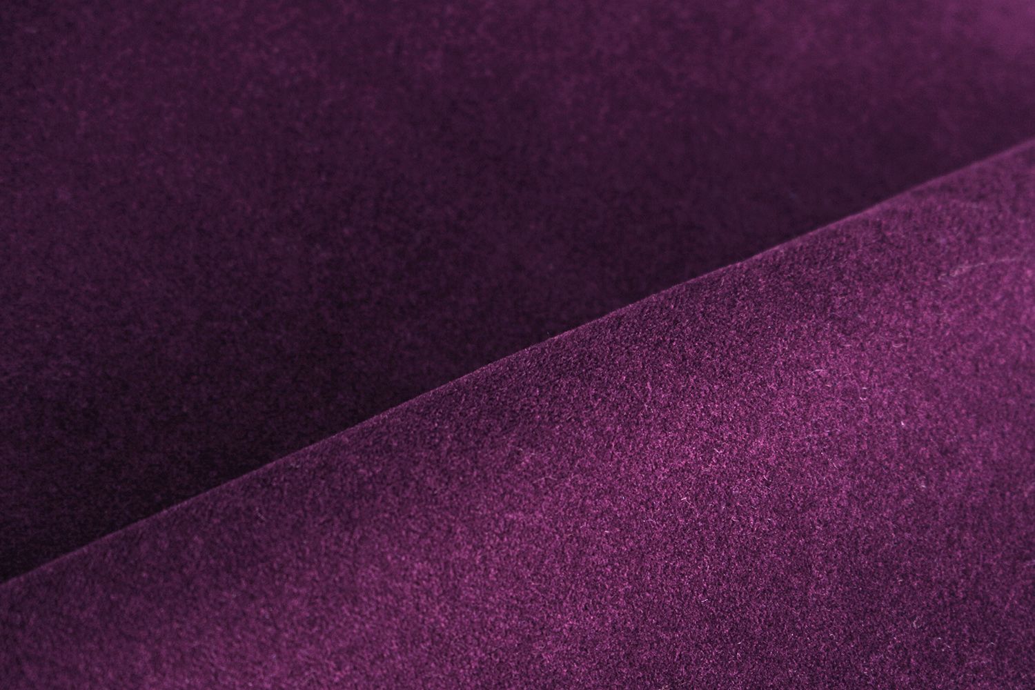 Avelina - Avelina_9220