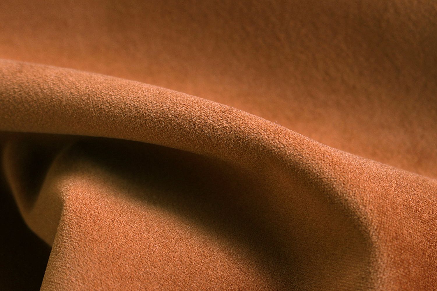 Avelina - Avelina_9244