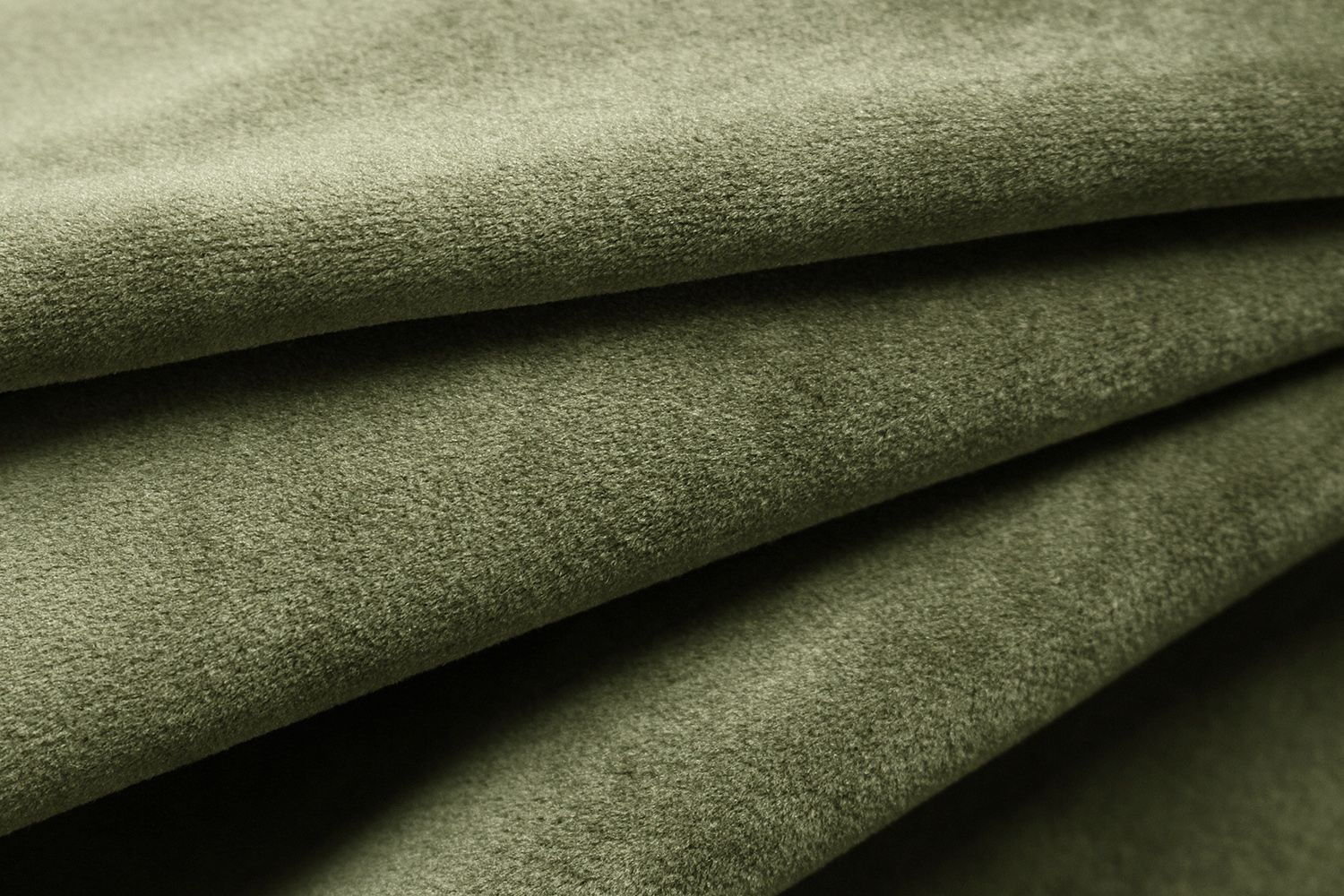 Avelina - Avelina_9516