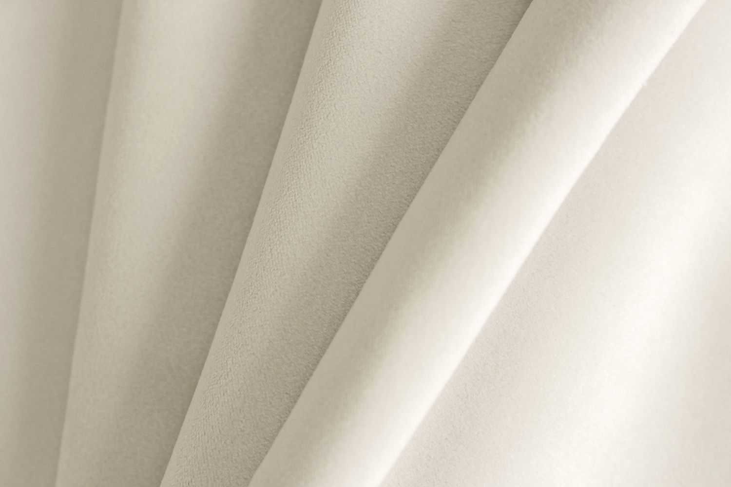 Avelina - Avelina_9534