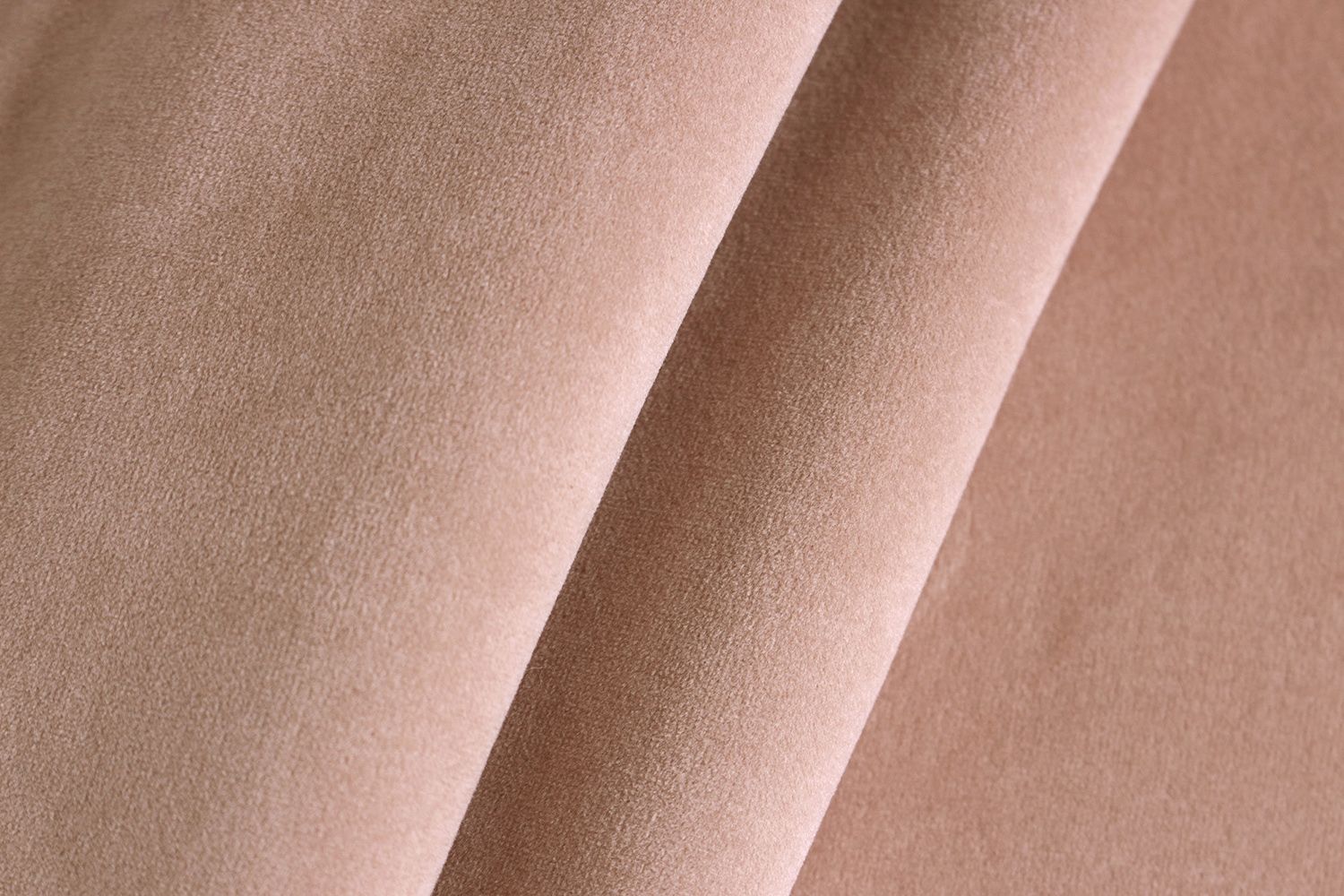 Avelina - Avelina_9612