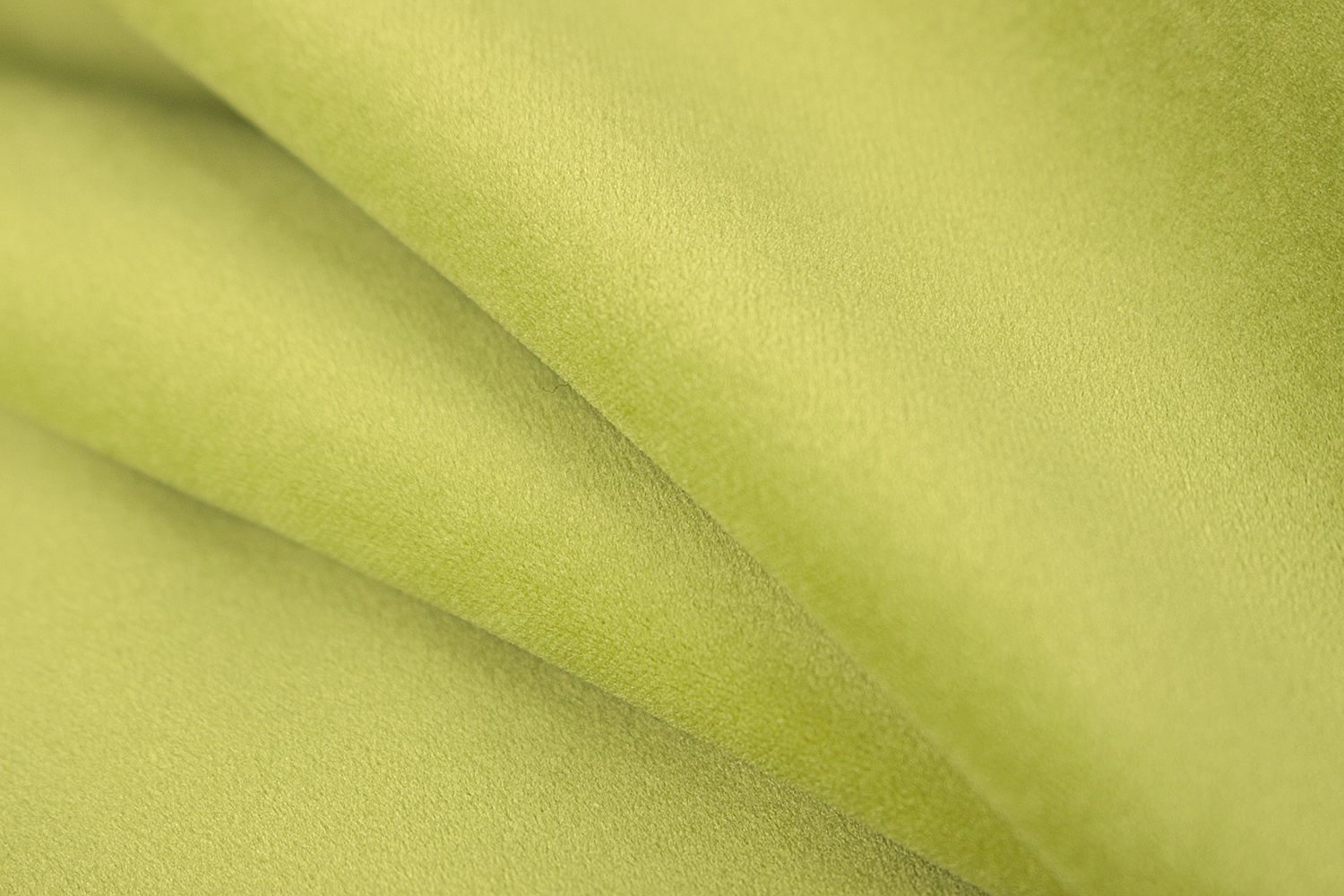 Avelina - Avelina_9653