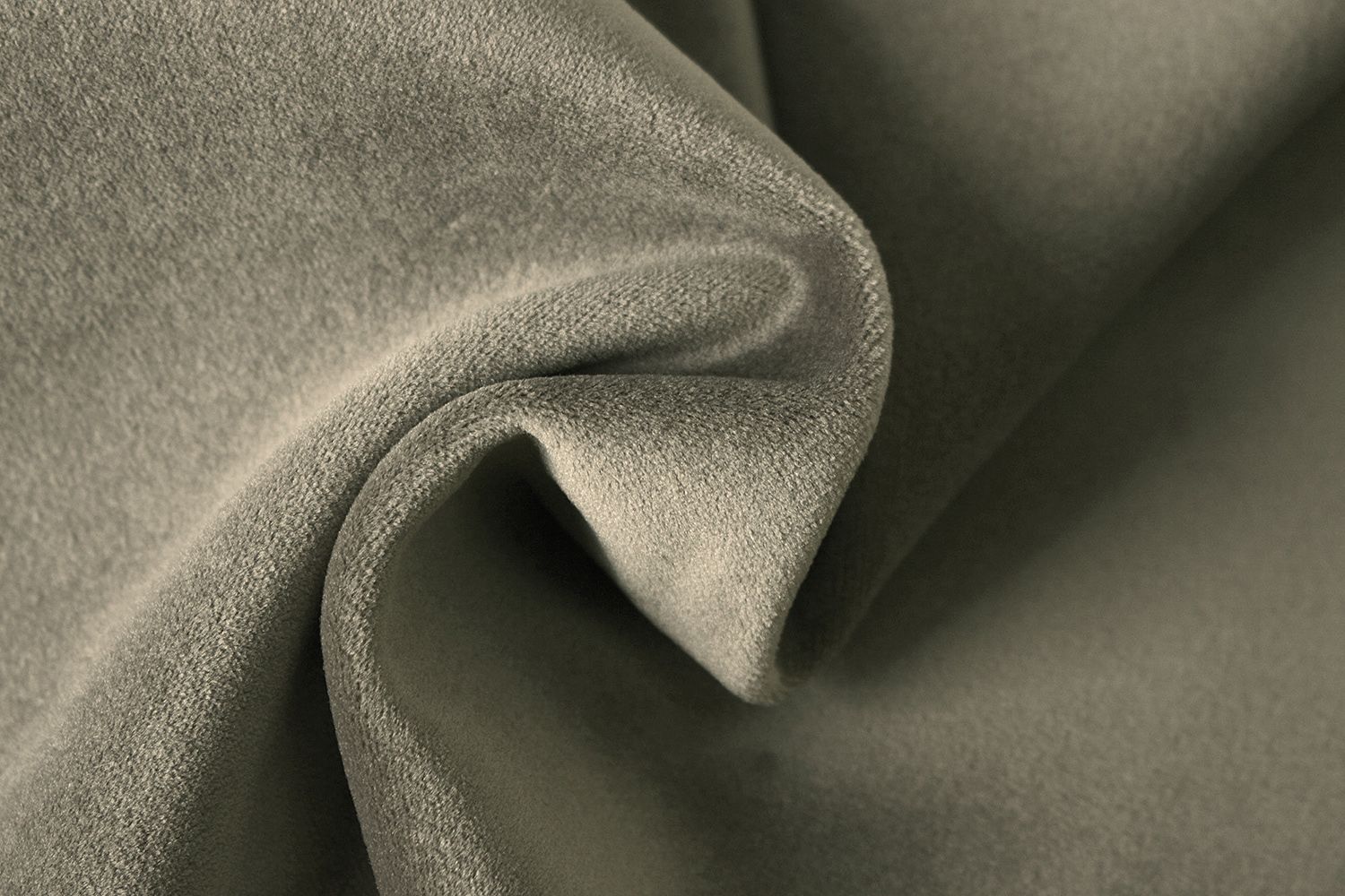 Avelina - Avelina_9811