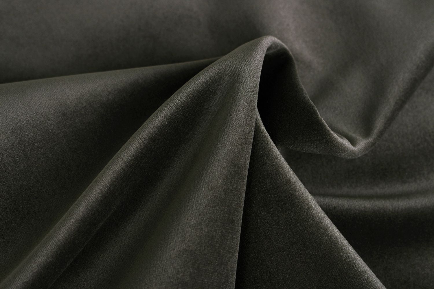 Avelina - Avelina_9981